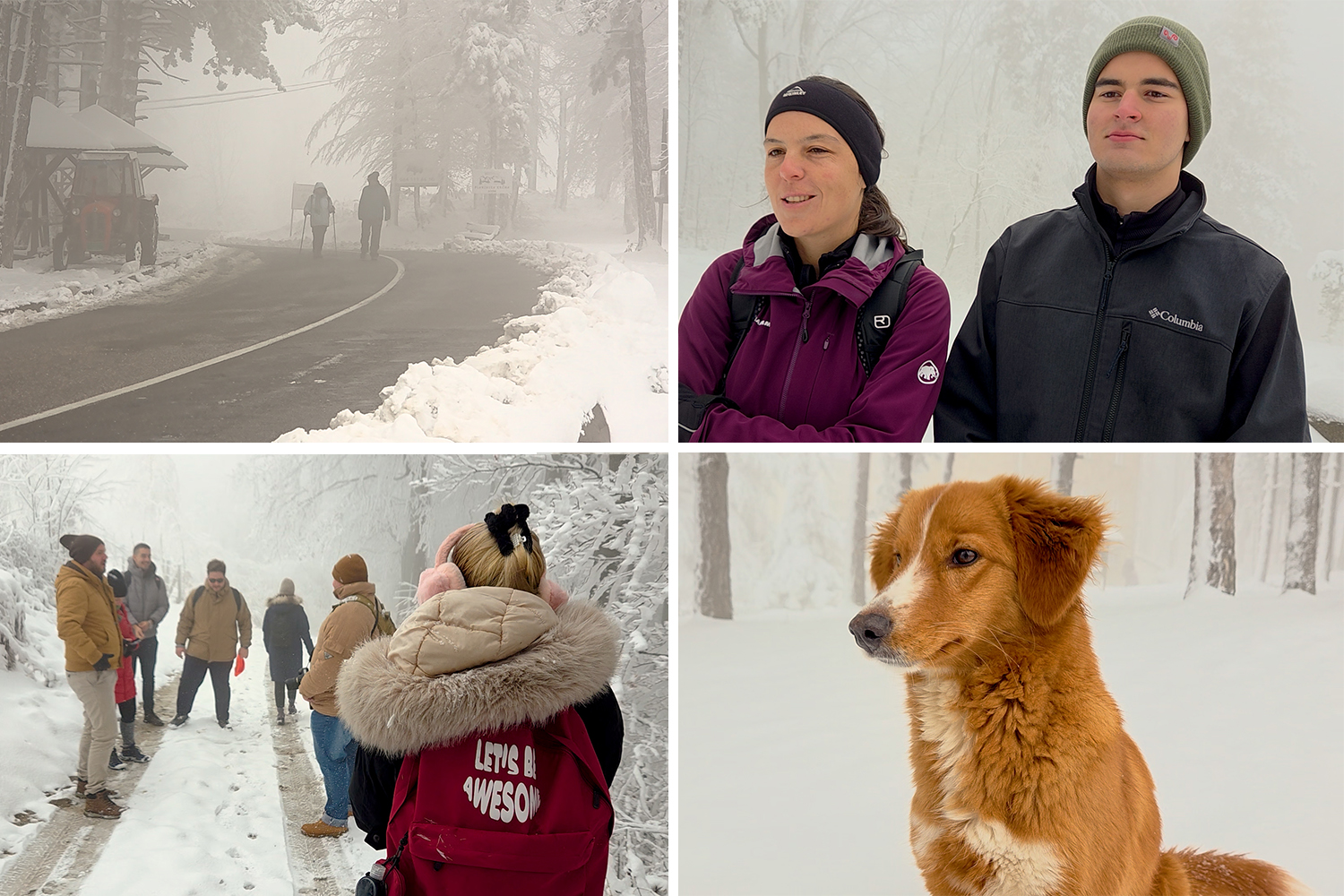 Od Beograda do ZIMSKE IDILE za 60 minuta: Ova planina je vazdušna banja koja ČUVA DUŠU Srbije