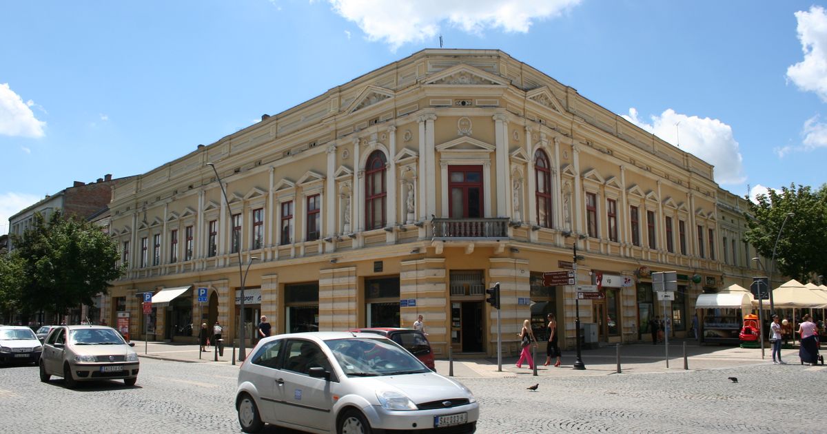 Najezda GAMADI u Šapcu, slike su jezive! Padaju i sa fasada: Na nožicama nose bakterije, mogu otrovati hranu