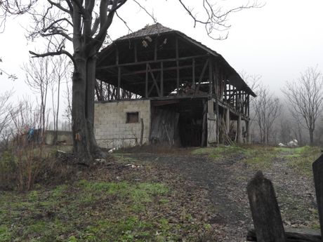 Danka Ilić, banjsko polje