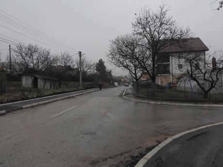 Danka Ilić, banjsko polje