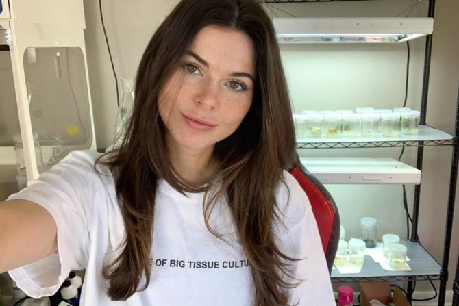 Jutjuberka Plants in Jars srušila tržište retkih biljaka