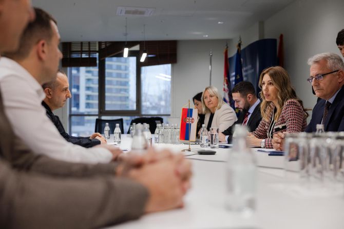 Dubravka Đedović Handanović