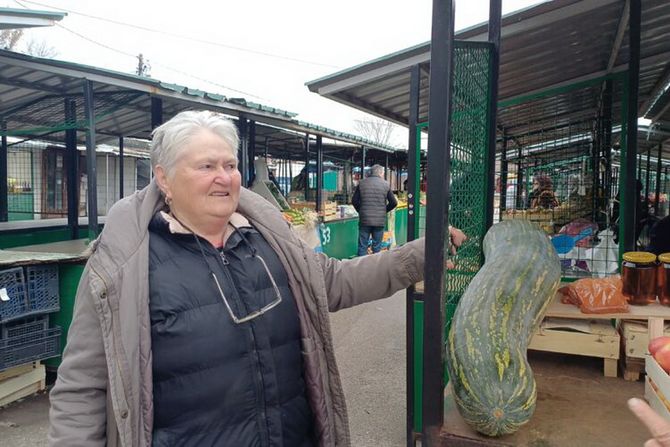 Julijina tikvica, rekorderka iz Trubarevca
