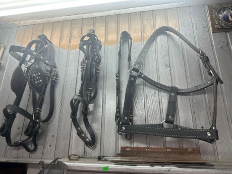 Perko Kuvekalović, majstor saračkog zanata kojih u Srbiji ima pet