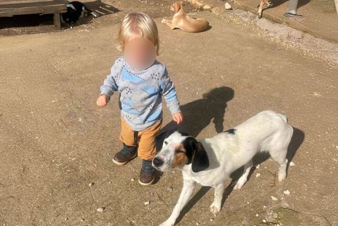 Dečak Leon Zakintos