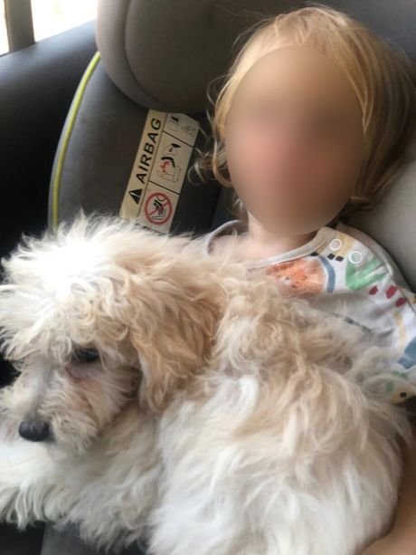 Dečak Leon Zakintos