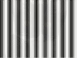 Optička iluzija crno bele linije i životinja