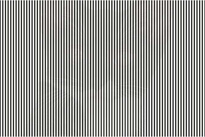 Optička iluzija crno bele linije i životinja