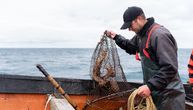 ALARM NA JADRANU! Gore je nego što mislimo, ribari su najbolji svedoci: "Problem postoji niz godina"