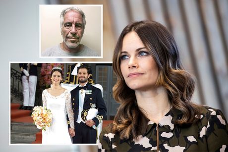 Princeza Sofija, Princess Sofia of Sweden, Džefri Epstajn