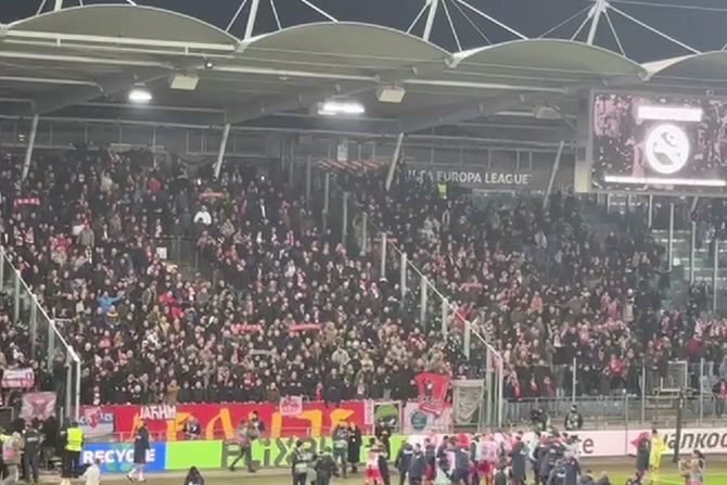 FK Crvena zvezda, navijači