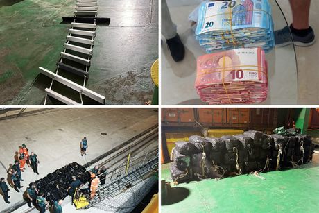 Dacic Medjunarodna akcija