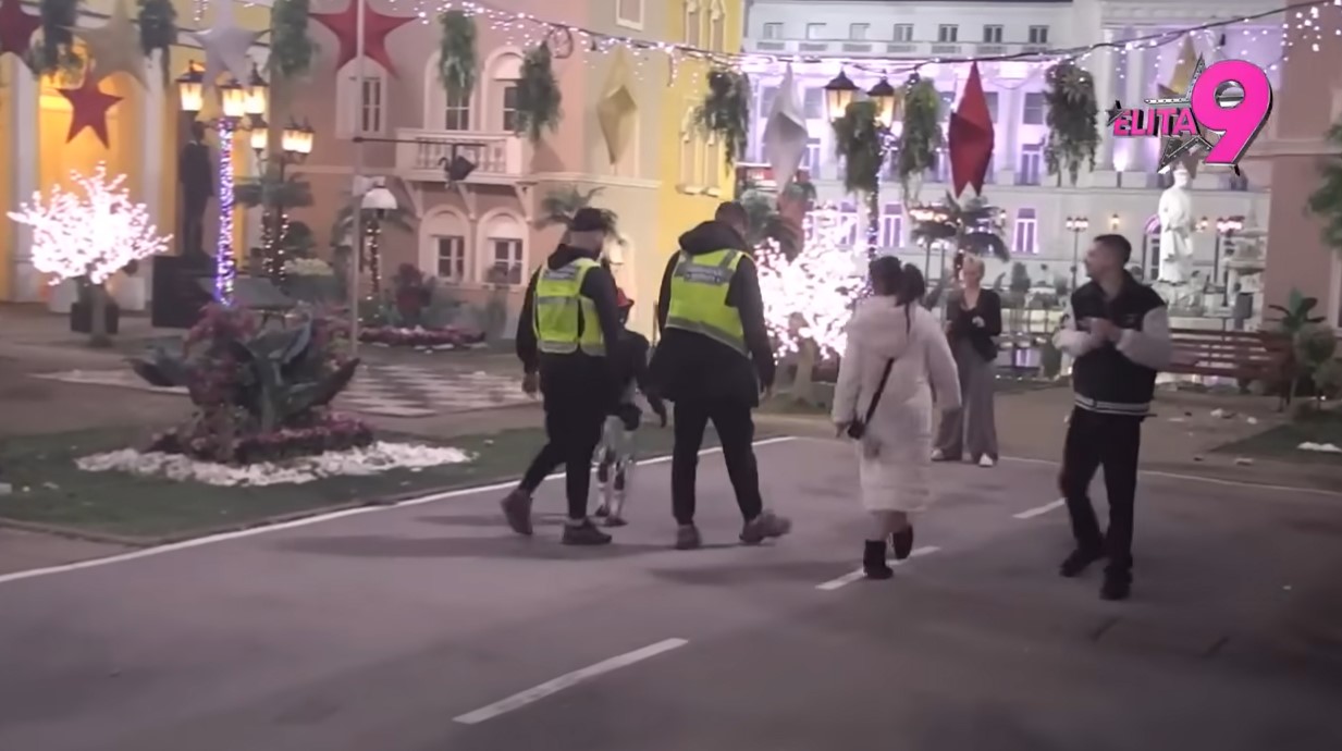 Miljana Kulić napala robota Tošu, obezbeđenje ih razdvajalo: Nastao haos na Pinku