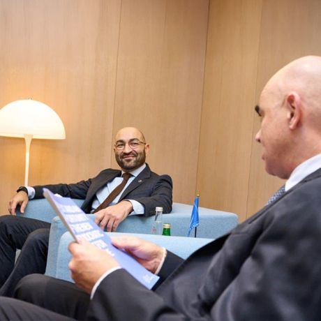 Predstavnik organizacije Romi za Evropu, Željko Jovanović, nedavno je imao sastanak u Savetu Evrope sa generalnim sekretarom Alenom Bersetom