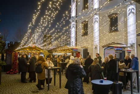 Svečanost grad Beč