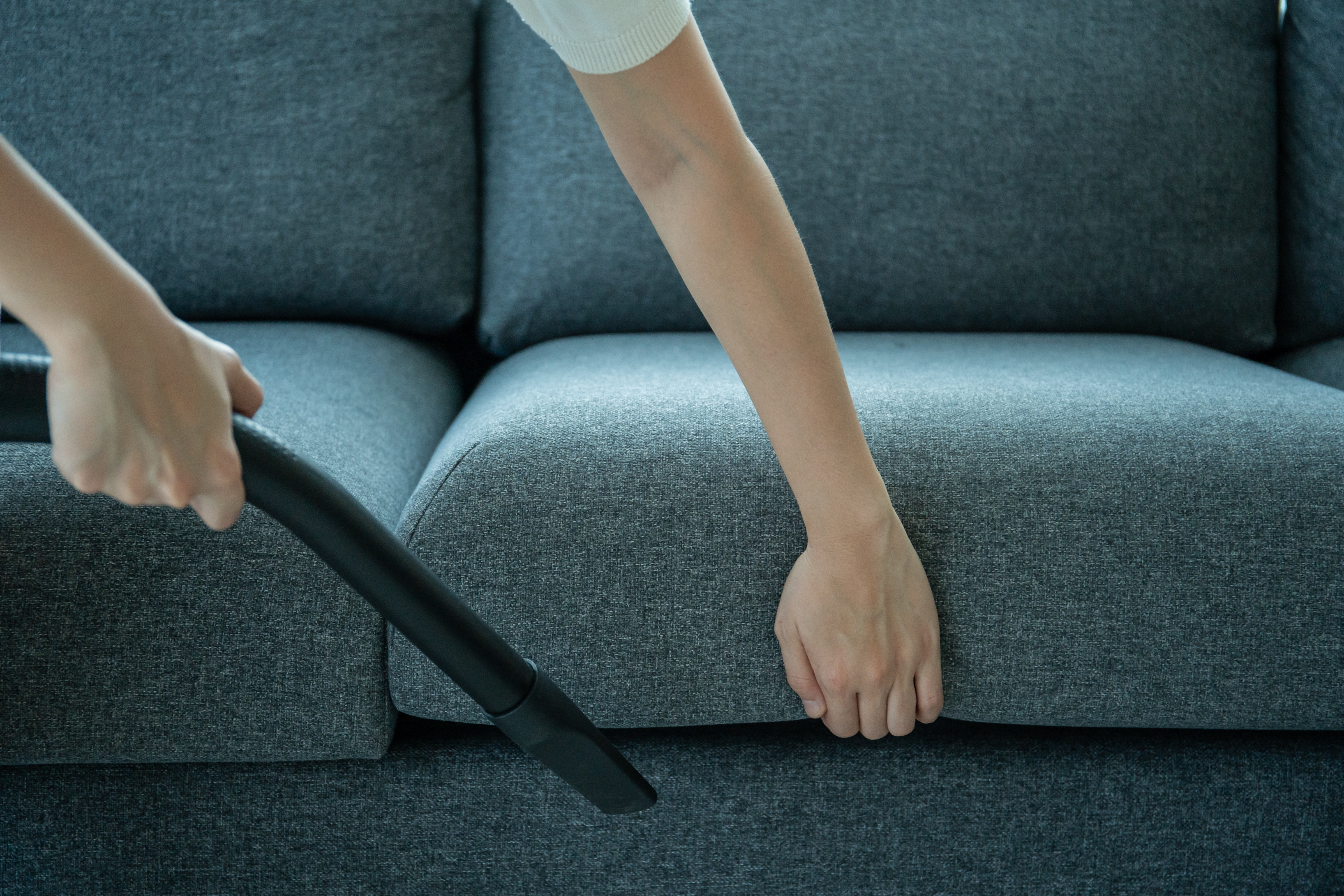 Pogledajte šta je IZRASLO IZ PARKETA, prizor će vas šokirati: Čovek pomerio kauč da opere pod i zanemeo!