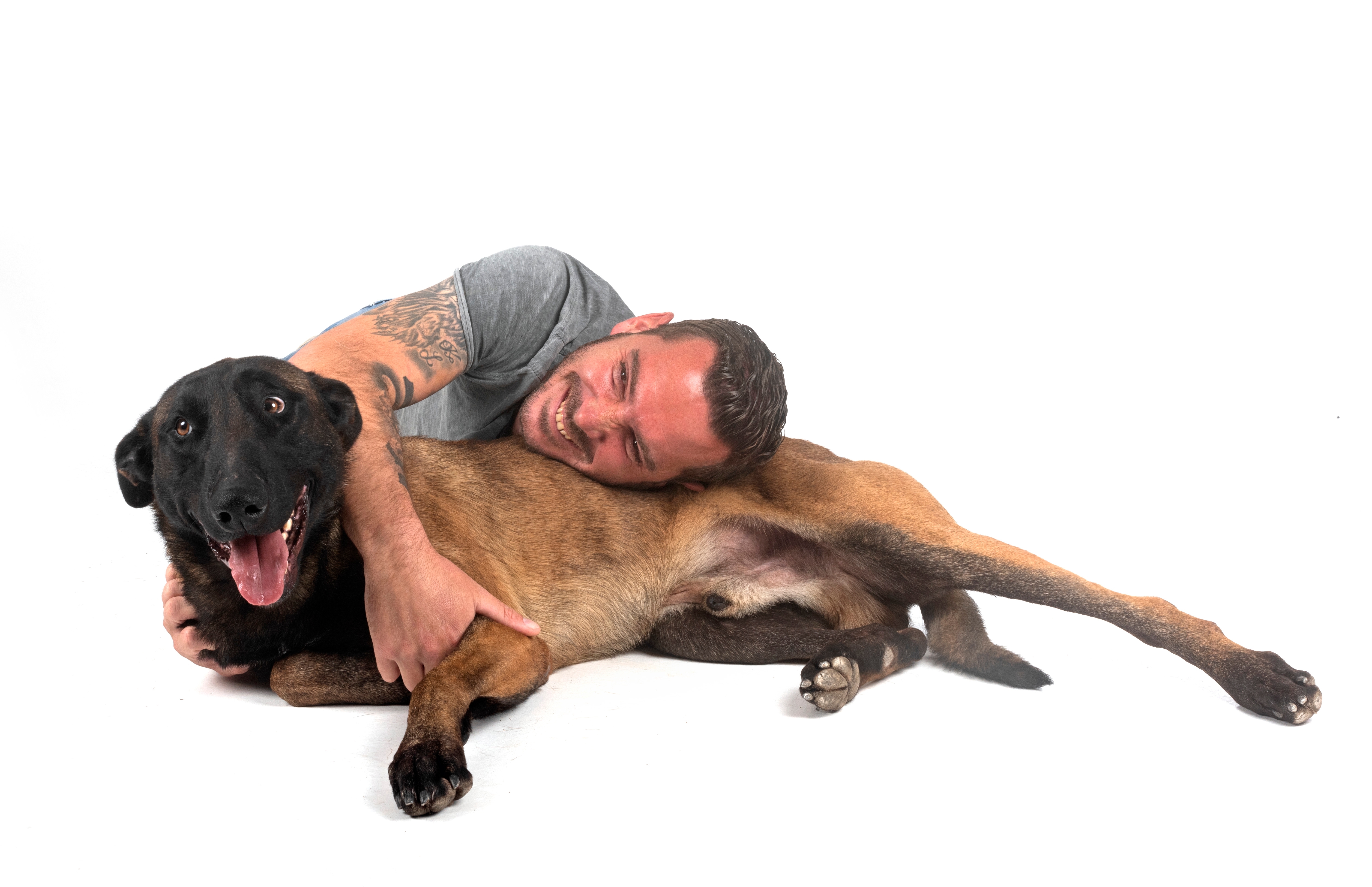 Šta bi bilo kad bismo radili ono što psi svakodnevno rade: Od NJUŠKANJA zadnjica do spavanja na PRLJAVOM VEŠU