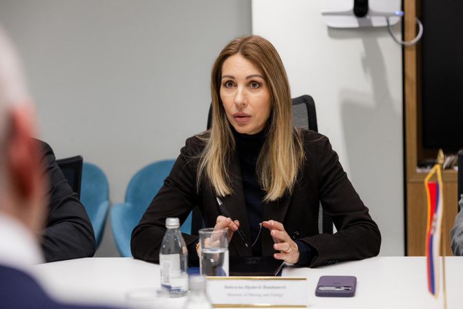 Dubravka Đedović Handanović