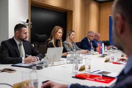 Dubravka Đedović Handanović