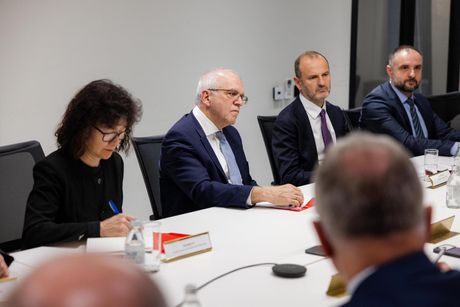 Dubravka Đedović Handanović