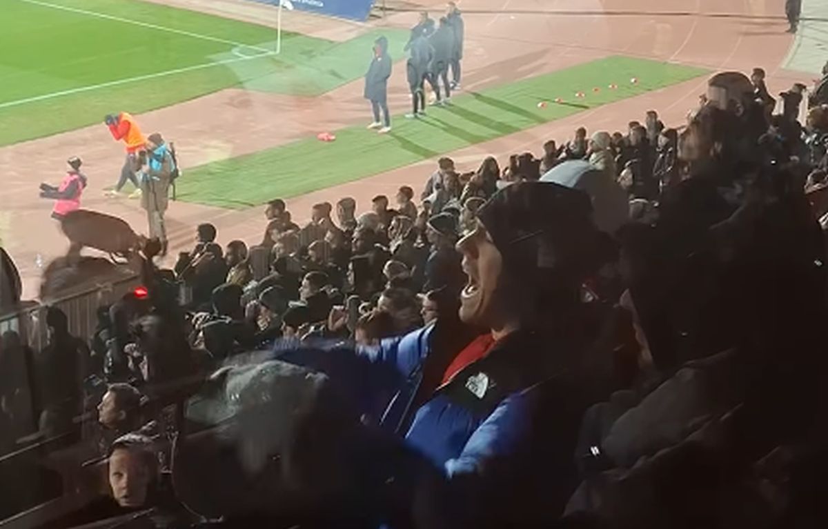 Ovako je Baka Prase bodrio Vojvodinu na Karađorđu: Hvatao se za glavu, skakao, pevao, nervirao se...