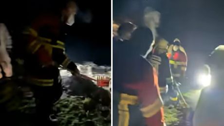 Severna Makedonija, ubistvo, šuma Tetovo, Negotino