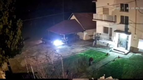 Snimak saobraćajne nezgode kod Obrenovca, Stubline