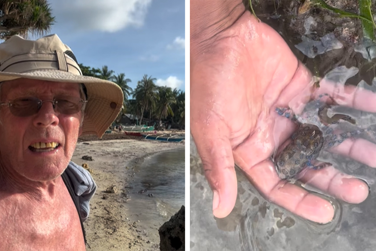 Ugledao je SLATKO STVORENJE i uzeo ga u ruku: Pukom srećom je ostao živ, a tek kasnije saznao JEZIVU istinu