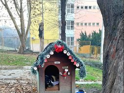 Kućica za pse na Karaburmi