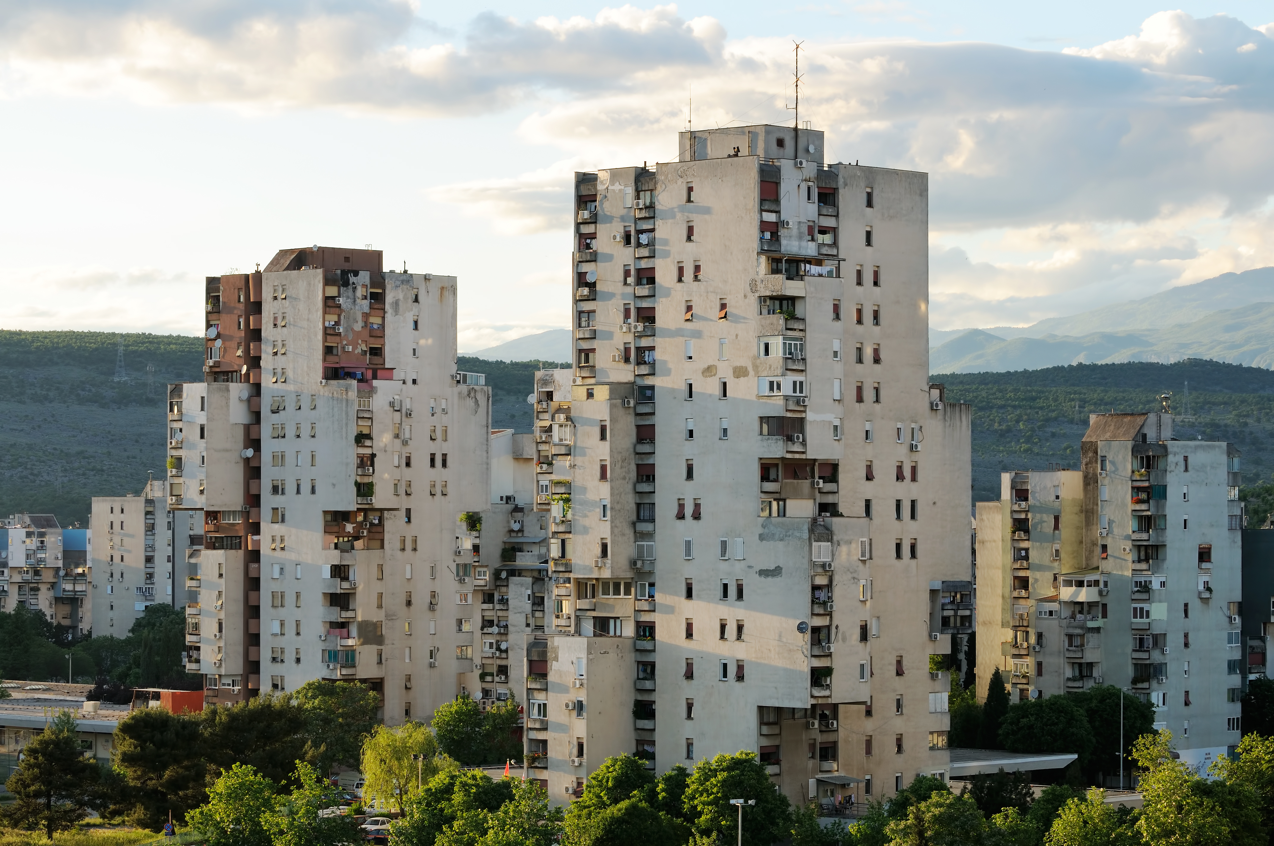 Šok snimak iz Podgorice! Životinjica zavukla glavu gde ne treba, ljudi gledaju i ne veruju: "Pijan bio!"