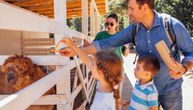 SNIMAK IZ BIH Čudo prirode, novi stanovnik zoo-vrta kod Mostara oduševio posetioce