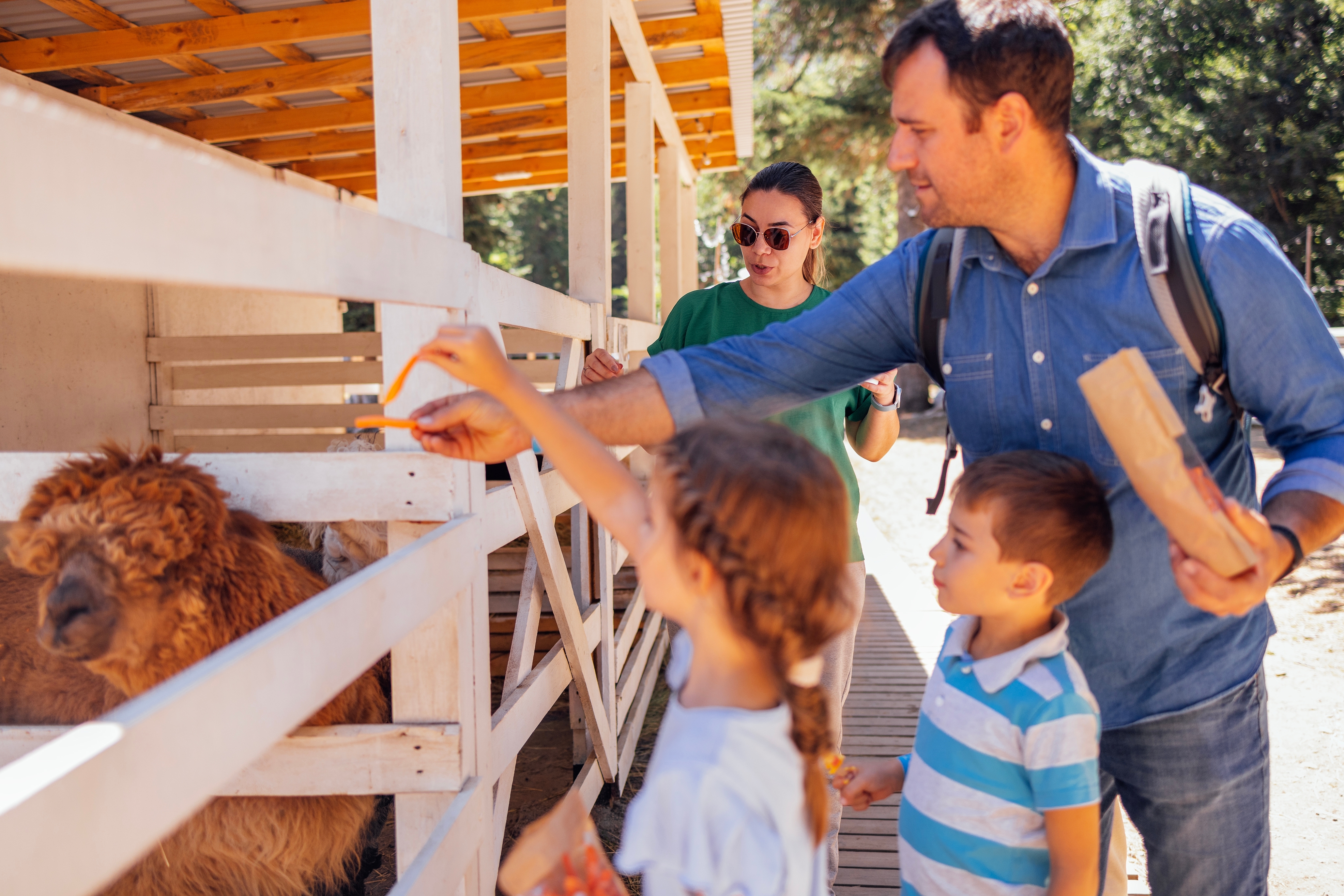 SNIMAK IZ BIH Čudo prirode, novi stanovnik zoo-vrta kod Mostara oduševio posetioce
