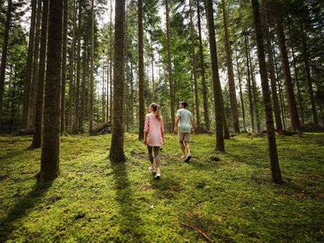Terme Dolenjske Toplice
