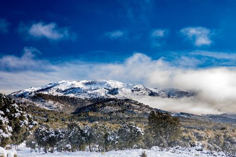 Sierra de las Nieves