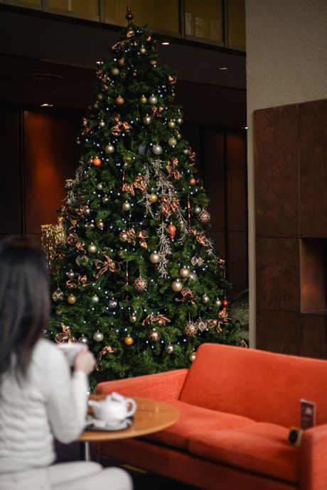 Terme Dolenjske Toplice