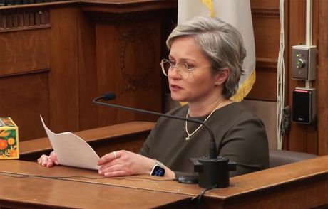 Brajan Volš Ana Volš sestra sud suđenje Brian Ana Walshe Sister