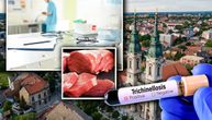 Veoma opasno, da li ste kupili ovo meso? Zaraženo je trihinelom, uhapšeni veterinar i vlasnik firme iz Pančeva