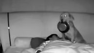 Ovom čoveku nije bilo jasno zašto ga je pas probudio usred noći: A onda je pogledao snimak!