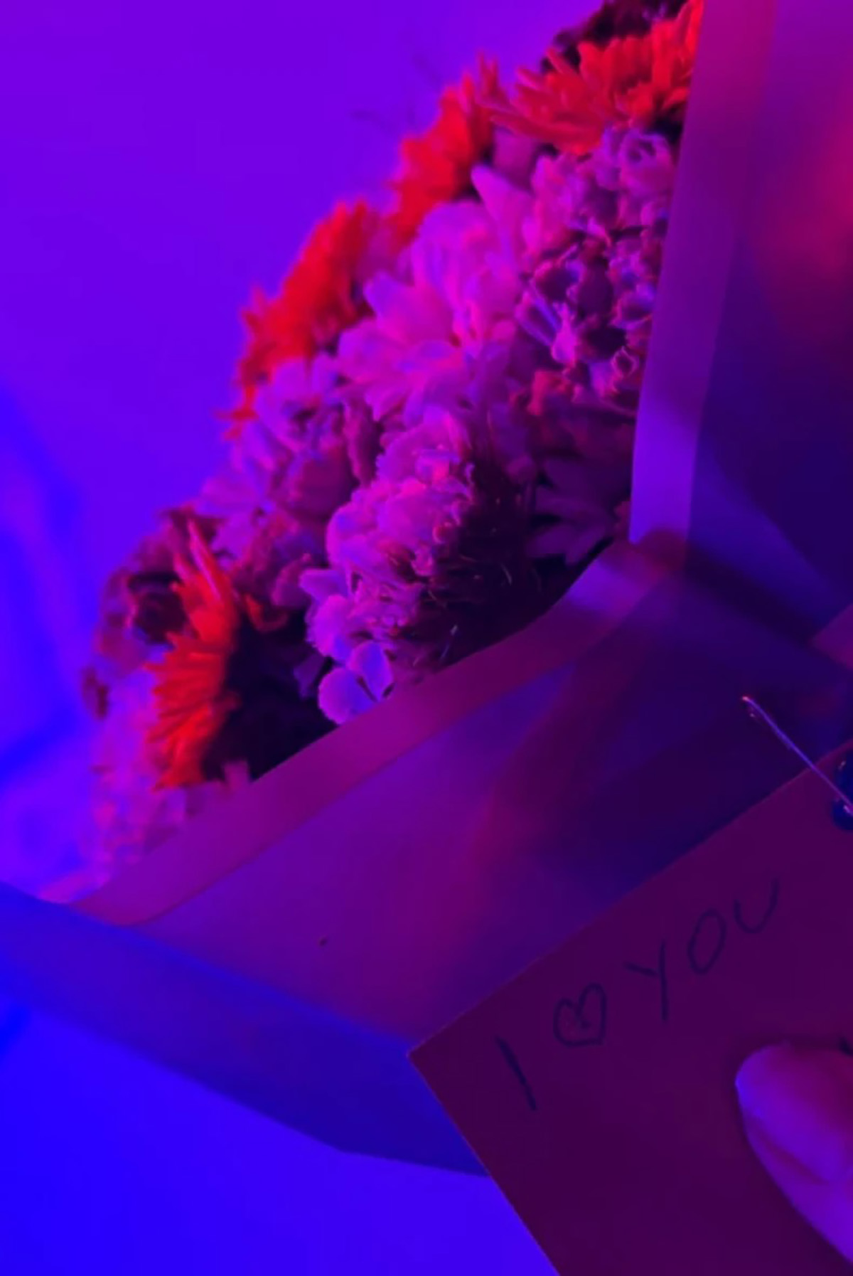 Kija pokazala poklone od dečka, priželjkuje svadbu: Evo čime ju je iznenadio, krije ga kao zmija noge