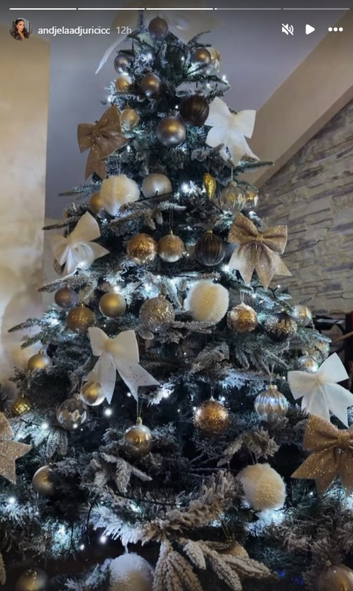 Anđela Đuričić pokazala pravo lice bez trunke šminke, pa snimkom iz stana otkrila istinu o Gastozu!