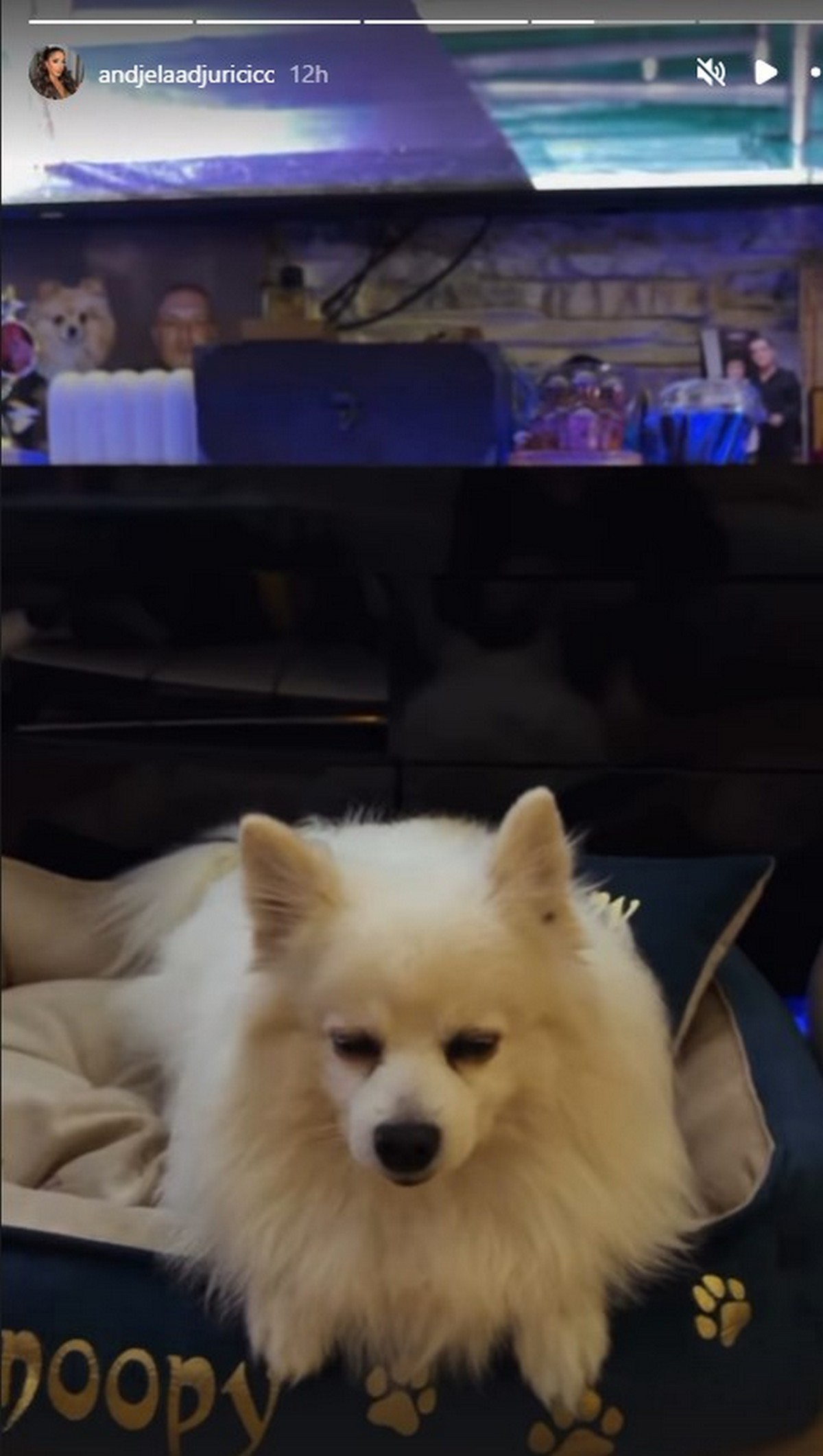 Anđela Đuričić pokazala pravo lice bez trunke šminke, pa snimkom iz stana otkrila istinu o Gastozu!