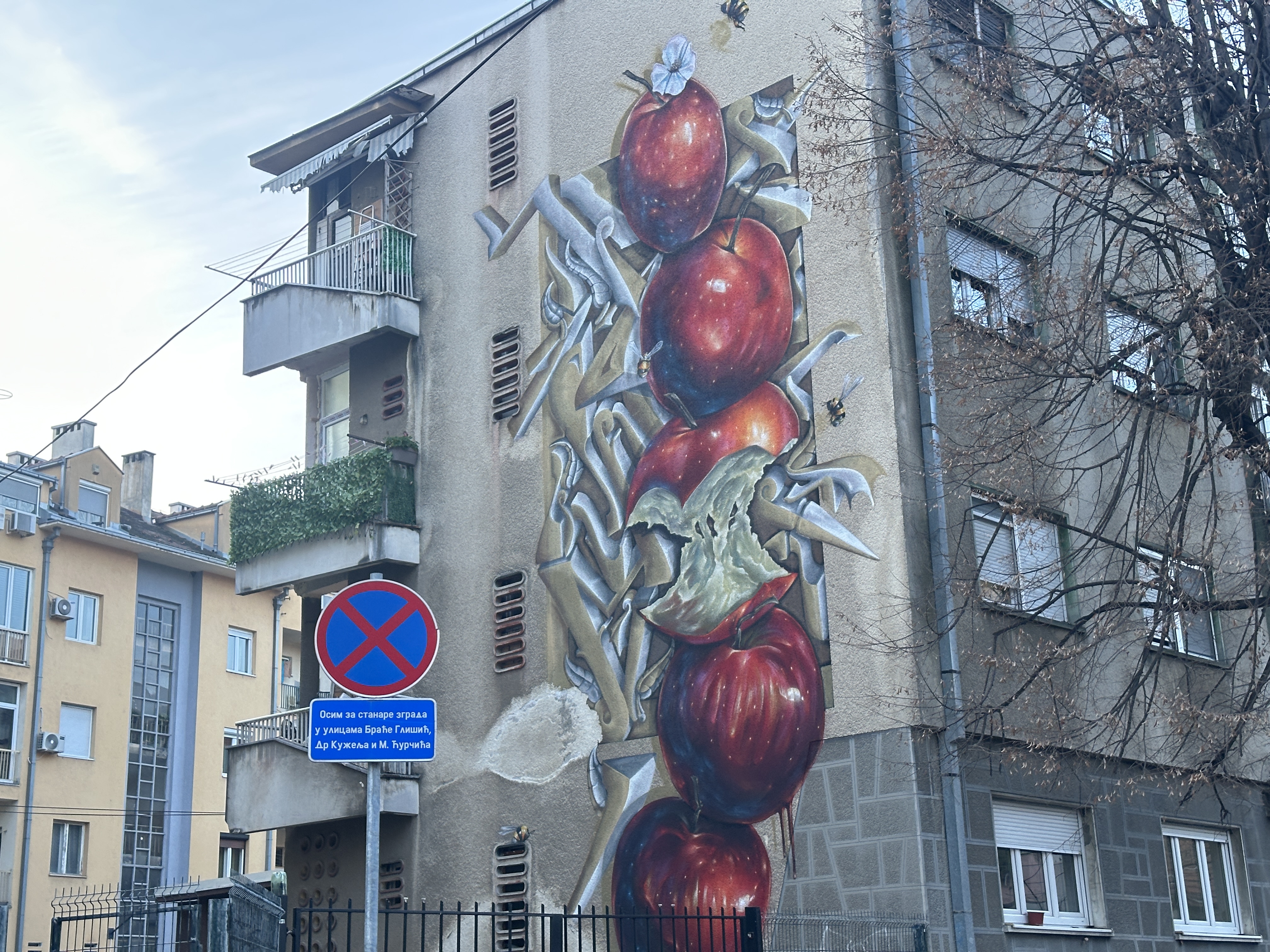 Jedan grad u Srbiji s razlogom je postao grad murala: Ko prođe pored ovih zgrada, ne može a da ne zastane