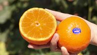 Šta znače brojevi na nalepnicama voća? Ako vidite ove cifre, obavezno ih vratite na policu