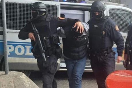 Strahinja Savić, izručenje, ekstradicija