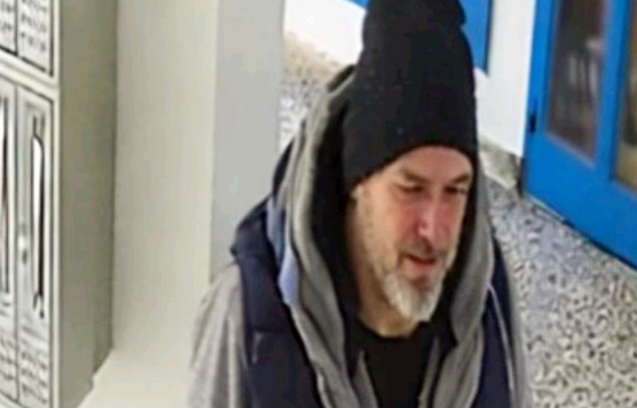 Luna se oglasila nakon horora na Novom Beogradu! Monstrum napao baku s unučetom, Đoganijeva uputila važan apel