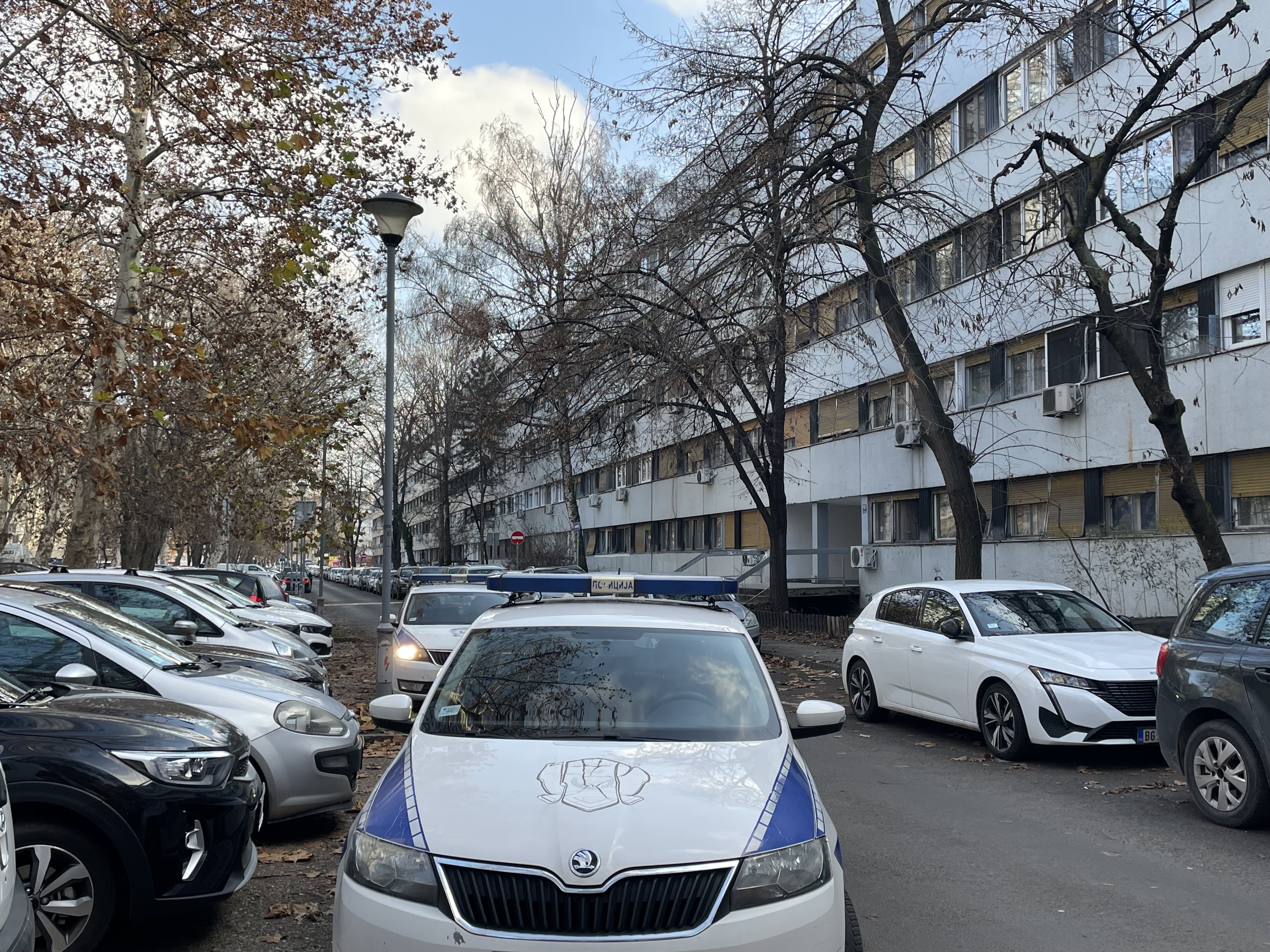 Luna se oglasila nakon horora na Novom Beogradu! Monstrum napao baku s unučetom, Đoganijeva uputila važan apel