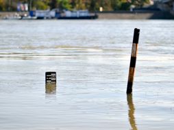 Visok vodostaj Dunava