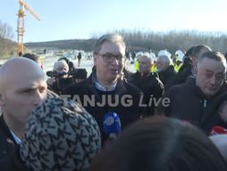 vucic