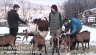 Heroji sa brda iznad Prokuplja: Ostali bez oca, pešače 10 km do škole i čuvaju 17 koza, OVO je njihova poruka