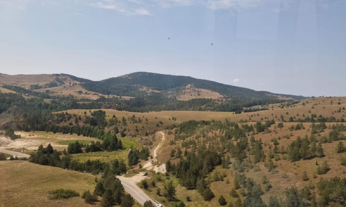 Hit snimak sa Zlatibora! Vozači nisu znali da li da se smeju ili da trube: Legla nasred puta kao da je njen